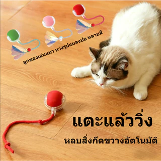 สินค้าใหม่ ของเล่นแมว ลูกบอล ลูกบอลกลิ้งสัตว์เลี้ยงอัจฉริยะ การเบื่อหน่ายด้วยตนเอง เครื่องมือที่มีประโยชน์ พร้อมเชือก ล้อเล่น ลูกบอลแมว ของเล่นแมว