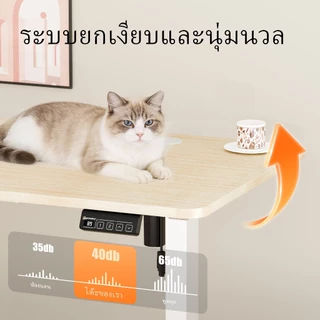 Ergomaker โต๊ะปรับระดับไฟฟ้า ที่เหมาะสมต่อรูปร่างมนุษย์ ไฟฟ้าโต๊ะยก โต๊ะปรับระดับ โคอม ทำงาน