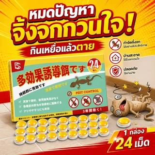 ล่อแรงมาก! หายทั้งรัง! ยาฆ่าจิ้งจก สูตรญี่ปุ่น ยาฆ่าตุ๊กแก เหยื่อล่อจิ้งจก กำจัดได้อย่างมีประสิทธิภาพ