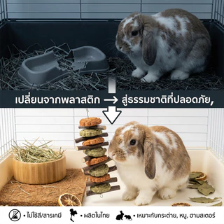 🐹🐰โมบายคุ้กกี้กระต่ายไม้แอปเปิ้ลไผ่หวาน ของเล่นสัตว์ฟันแทะลับฟัน ลดปัญหาฟันยาว สำหรับกระต่าย ชินชิลล่า แกสบี้