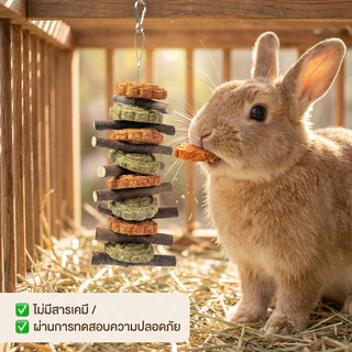 🐹🐰โมบายคุ้กกี้กระต่ายไม้แอปเปิ้ลไผ่หวาน ของเล่นสัตว์ฟันแทะลับฟัน ลดปัญหาฟันยาว สำหรับกระต่าย ชินชิลล่า แกสบี้