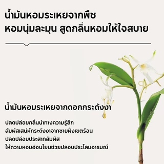 Botare น้ำยาซักผ้า ผลิตภัณฑ์ปรับผ้านุ่ม กลิ่นหอมยามค่ำ หอมทนนาน 7 วัน 300กรัม / 1000กรัม ราคาสุดคุ้ม พร้อมส่ง!