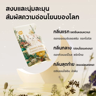 Botare น้ำยาซักผ้า ผลิตภัณฑ์ปรับผ้านุ่ม กลิ่นหอมยามค่ำ หอมทนนาน 7 วัน 300กรัม / 1000กรัม ราคาสุดคุ้ม พร้อมส่ง!