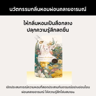 Botare น้ำยาซักผ้า ผลิตภัณฑ์ปรับผ้านุ่ม กลิ่นหอมยามค่ำ หอมทนนาน 7 วัน 300กรัม / 1000กรัม ราคาสุดคุ้ม พร้อมส่ง!