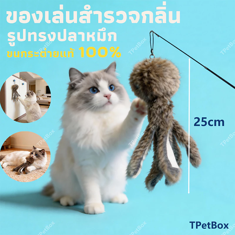 พร้อมส่ง! ของเล่นแมวรูปปลาหมึกขนกระต่ายแท้ จำลองสมจริง เสริมพัฒนาการ แก้เบื่อ แมวเล่นเองได้ กระตุ้นสัญชาตญาณการล่า เหมาะสำหรับลูกแมว ทนทาน ปลอดภัย