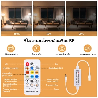 💡 [สต็อกไทย] ไฟเส้น LED COB CCT 24V (608 LED/m) ปรับสีได้ 2700K-6500K แสงเนียน ไร้จุดมืด หรี่ไฟได้ ไฟซ่อนฝ้าเกรดพรีเมียม ✨🔥