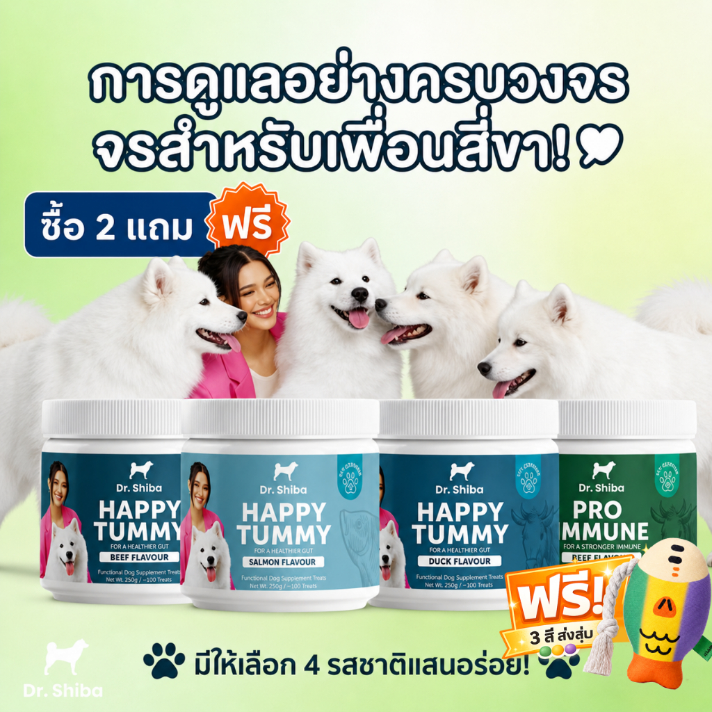 【ใหม่ล่าสุด】แพ็คคู่พรีเมียม 2สูตร ทรีตสุนัขช่วยระบบย่อยอาหาร ขนมหมาเสริมภูมิ ด็อกทรีตดูแลลำไส้ Dr. Shiba