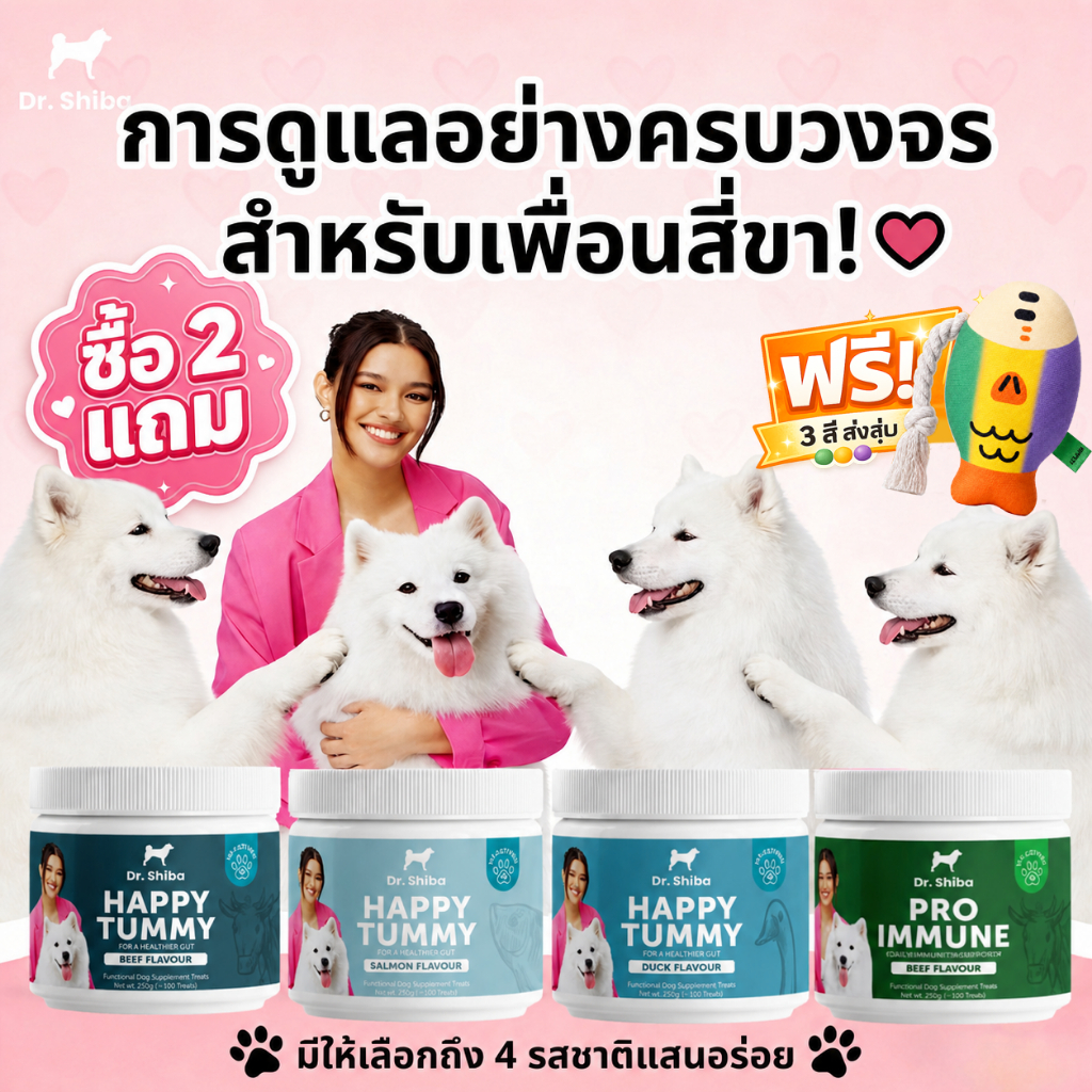 【แพ็คสุดคุ้ม】เคี้ยวง่าย 2สูตร ขนมสุนัขระบบย่อยอาหาร ทรีตสุนัขเสริมภูมิคุ้มกัน ขนมหมาดูแลลำไส้ Dr. Shiba