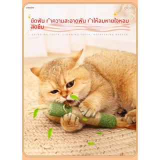 หญ้าแมว ยักษ์ & แท่งเงิน ของเล่นเคี้ยวฟัน ทำความสะอาดฟัน ลดกลิ่นปาก คลายเหงา สนุกได้เอง