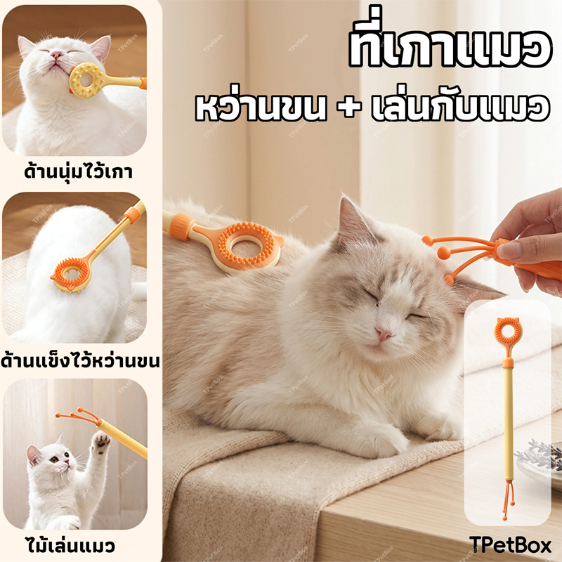 พร้อมส่ง! ของเล่นแมว 3 in 1 ปรับระดับได้ – ไม้เกาสองด้าน (อ่อน-แข็ง) และไม้ตกแมวในตัว ช่วยนวดและคลายเครียด แก้เบื่อ โต้ตอบกับแมว ใช้เองก็ได้