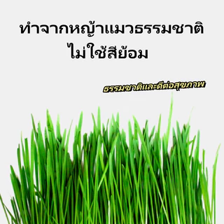 Deeplove รักลึก หญ้าแมว เม็ดหญ้าแมว หญ้าแมวแบบแท่ง แมว ขนมเหมาะสําหรับแมวเกิน 2 เดือน 0 สี สุขภาพธรรมชาติ