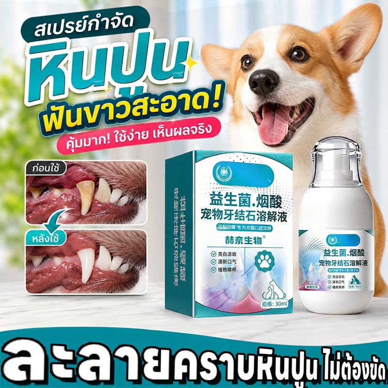 🐶ลดการสะสมคราบฟัน😸MK สเปรย์ทำความสะอาดฟันแมว สเปรย์ทำความสะอาดฟันสุนัข สูตรอ่อนโยน ไม่ระคายเคือง ลดการแข็งตัวของคราบหินปูน