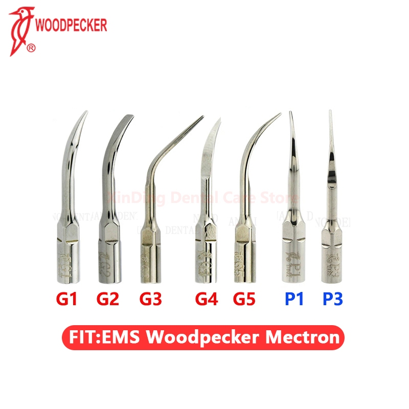 Hujung Scaler Ultrasonik Gigi Woodpecker DTE G1-G5 P1 P3 Original Dental Scaling Tip EMS NSK Satelec