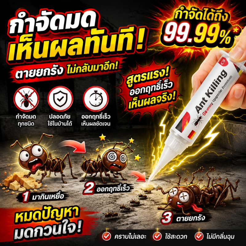 🐜80ปีไม่มีมด🐜Max แอนท์เบท เจลกำจัดมด ยาฆ่ามด 35g ตายยกรัง าฆ่ามด แอนตี้แอนท์ ใช้เวลาเพียงคืนเดียวฆ่าให้ตายมดทั้งหมด