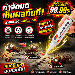 🐜80ปีไม่มีมด🐜Max แอนท์เบท เจลกำจัดมด ยาฆ่ามด 35g ตายยกรัง าฆ่ามด แอนตี้แอนท์ ใช้เวลาเพียงคืนเดียวฆ่าให้ตายมดทั้งหมด