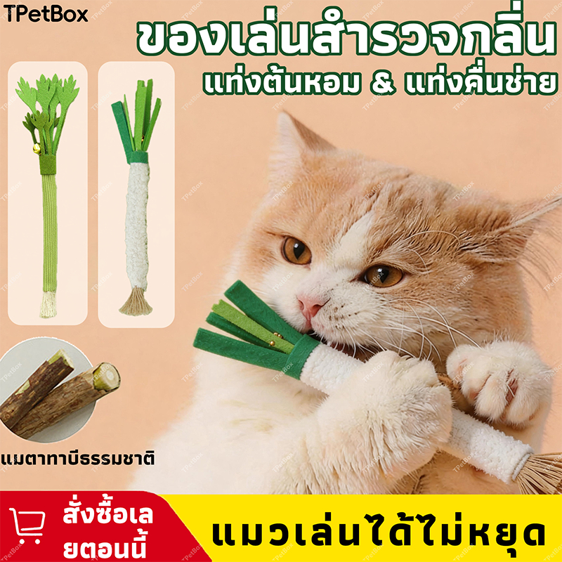 พร้อมส่ง! ของเล่นแมวแมวตะใคร้รูปต้นหอมจำลอง 3 in 1 แก้เบื่อ ทนทานต่อการกัด ช่วยทำความสะอาดฟัน ลดคราบหินปูน แมวเล่นเองได้