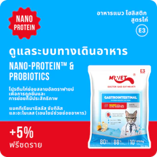 Mr.Vet E3 นาโนโพรเทน™ อาหารแมวแบบแห้ง 50ก – ย่อยอาหารได้อย่างง่ายดาย ดูดซึมเร็ว อุดมด้วยโปรไบโอติก รองรับสุขภาพทางเดินอาหารและลําไส้แข็งแรง