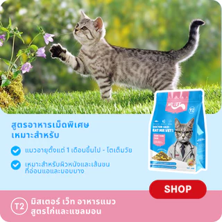 [ของขวัญเพิ่มเติม]Mr.Vet T2 300g 1kg 2kg อาหารแมวพรีเมี่ยม Omega-3 เสริมเพื่อสุขภาพ Skin & Coat Chicken & Salmon