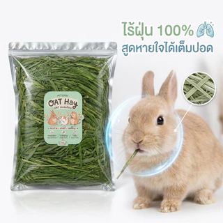 🐰หญ้าโอ้ตออแกนิกส์🐹 OAT อบลมร้อน ไร้ฝุ่น ก้านสั้น/ก้านยาว ใบเยอะ เขียว หอม ช่วยลับฟัน หญ้ากระต่ายอบแห้ง คัดเกรดพรีเมี่ยม ปลอดสารเคมี