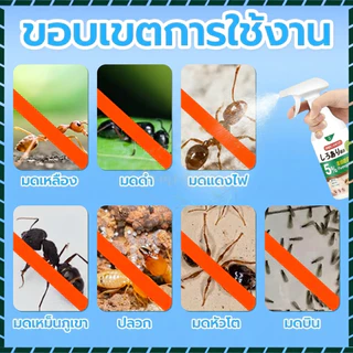 กําจัดมดทันทีเห็นผลเร็ว! สเปรย์มดและสเปรย์กําจัดมดผลิตจากสารสกัดจากพืช ไร้กลิ่นแรง ปลอดภัยใช้งานง่าย 500มล