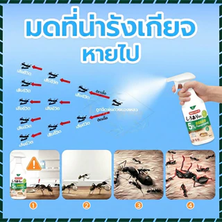 กําจัดมดทันทีเห็นผลเร็ว! สเปรย์มดและสเปรย์กําจัดมดผลิตจากสารสกัดจากพืช ไร้กลิ่นแรง ปลอดภัยใช้งานง่าย 500มล