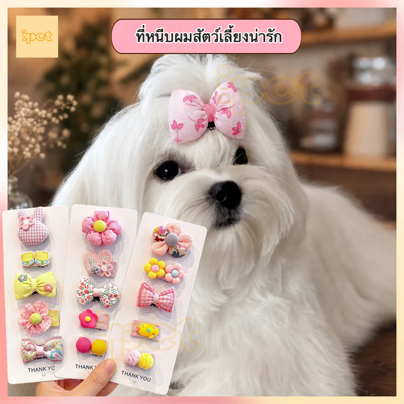 กิ๊บติดขนสัตว์เลี้ยงน่ารัก 🐶🐱 เครื่องประดับผมหมาแมว กิ๊บติดขนไม่ดึงขน สำหรับชิสุ ปอม ชิวาวา โกลเด้น