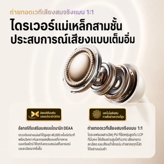 Philips TAQ2320 หูฟังบลูทูธ ระบบกระดูกกะโหลก แบบเปิดหู เหมาะสำหรับวิ่งและออกกำลังกาย พร้อมระบบ AI ลดเสียงรบกวนอัจฉริยะ และบลูทูธ 6.0