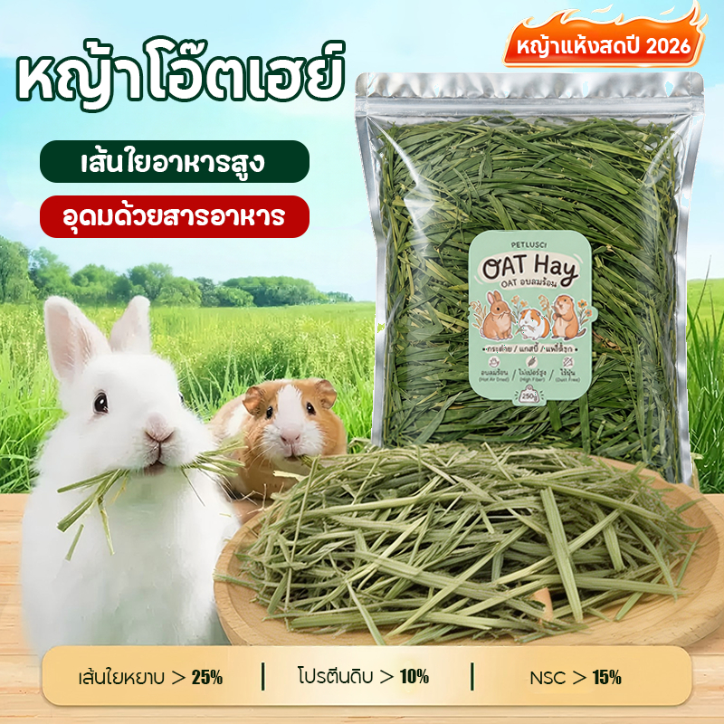 หญ้าโอ๊ตเฮย์ 500กรัม หญ้าโอ๊ตพรีเมี่ยมคัดสรร หญ้าโอ้ต Oat Hay สำหรับกระต่าย และสัตว์ฟันแทะ