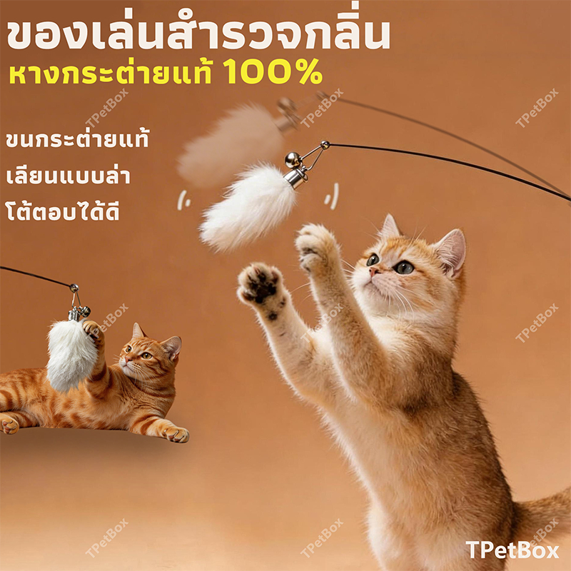 พร้อมส่ง! หัวไม้ตกแมวหางกระต่ายแท้พร้อมกระดูก กระตุ้นการดมกลิ่น เสริมพัฒนาการ แก้เบื่อ แมวเล่นเองได้ ทนทาน ปลอดภัย ใช้แทนหัวเดิมได้