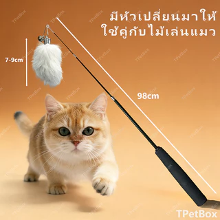 พร้อมส่ง! หัวไม้ตกแมวหางกระต่ายแท้พร้อมกระดูก กระตุ้นการดมกลิ่น เสริมพัฒนาการ แก้เบื่อ แมวเล่นเองได้ ทนทาน ปลอดภัย ใช้แทนหัวเดิมได้