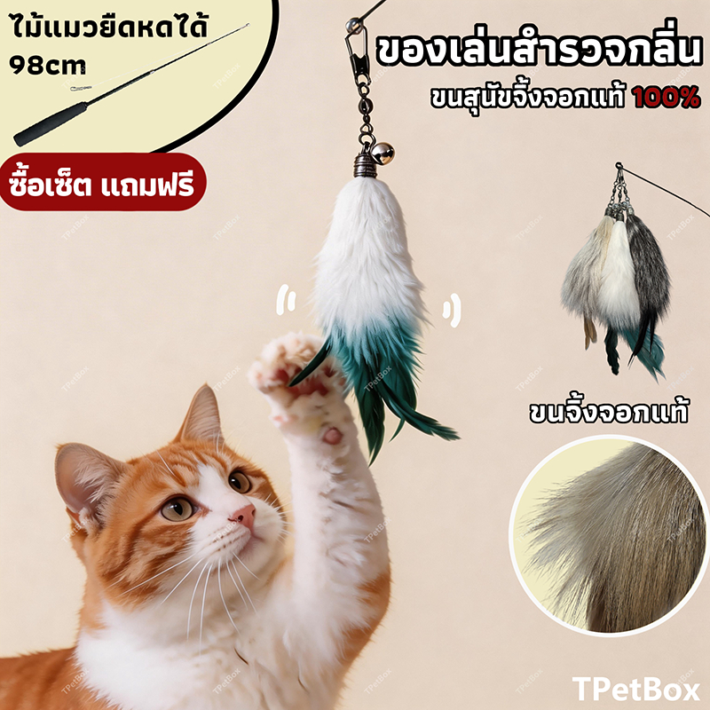 พร้อมส่ง! ไม้ฟาดแมวขนฟ็อกซ์ธรรมชาติ ขนนกแท้ ด้ามยืดหดได้ยาวพิเศษ หัวเปลี่ยนได้ คุณภาพระดับมืออาชีพ กระตุ้นสัญชาตญาณนักล่า แมวเล่นเองได้