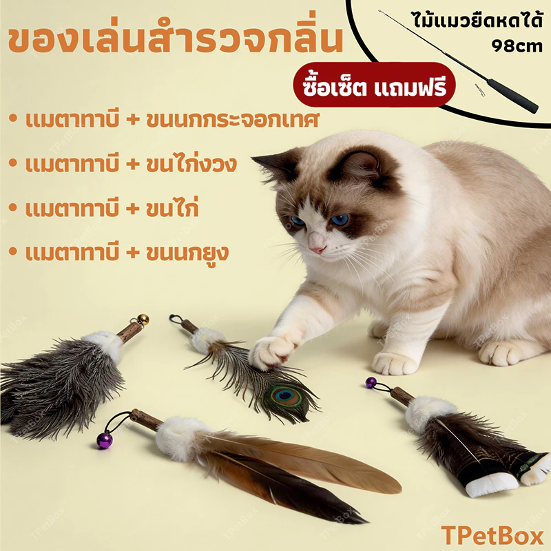 พร้อมส่ง! หัวไม้ฟาดแมวขนกระต่ายผสมแมวตะใคร้ ขนนกธรรมชาติแท้ไม่ย้อมสี ขนาดใหญ่พิเศษ ใช้แทนหัวเดิมได้ ของเล่นเสริมพัฒนาการสำหรับแมว นุ่ม ทนทาน