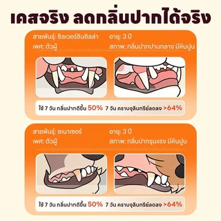 😽ไม่ต้องแปรง ฟันแข็งแรง🐶 Leno น้ำยาลดคราบหินปูน ขจัดหินปูนสัตว์เลี้ยง น้ำยาทำความสะอาดฟันสุนัข การดูแลฟันแมว สุนัขและแมว ดับกลิ่นปาก ลดคราบเหลือง