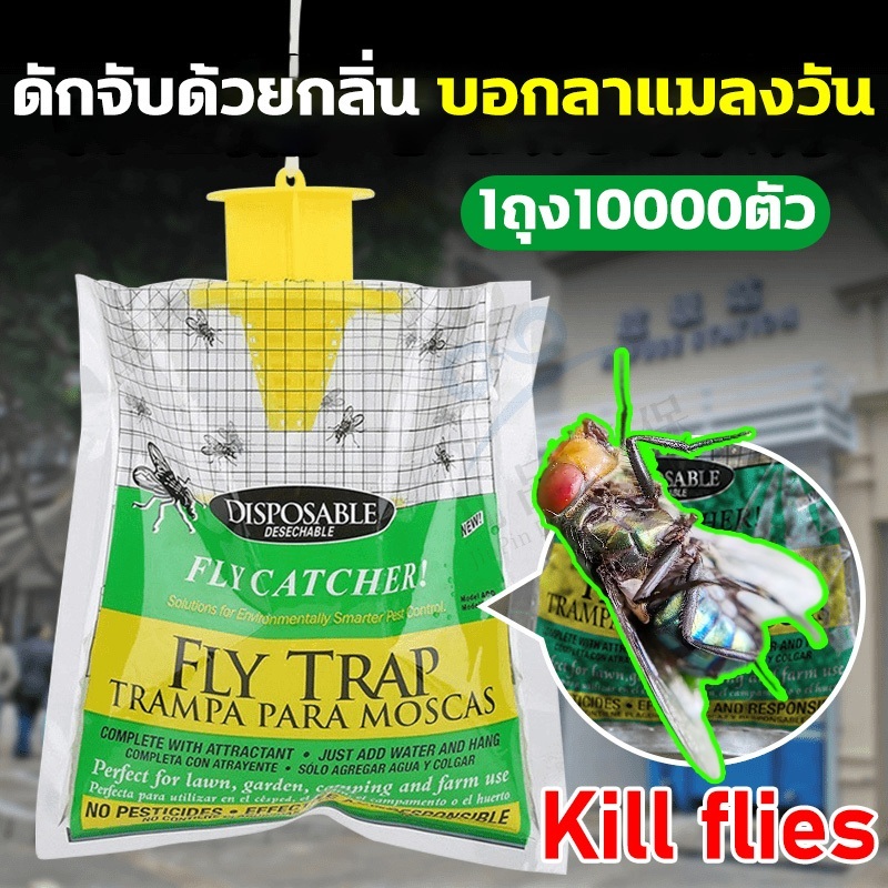 ดักแมงหวี่ ดักจับด้วยกลิ่น ปลอดภัยเป็นมิตรต่อสิ่งแวดล้อม ดักแมลงวัน ทีดักแมลงวัน เครื่องจับแมลงวัน ไล่