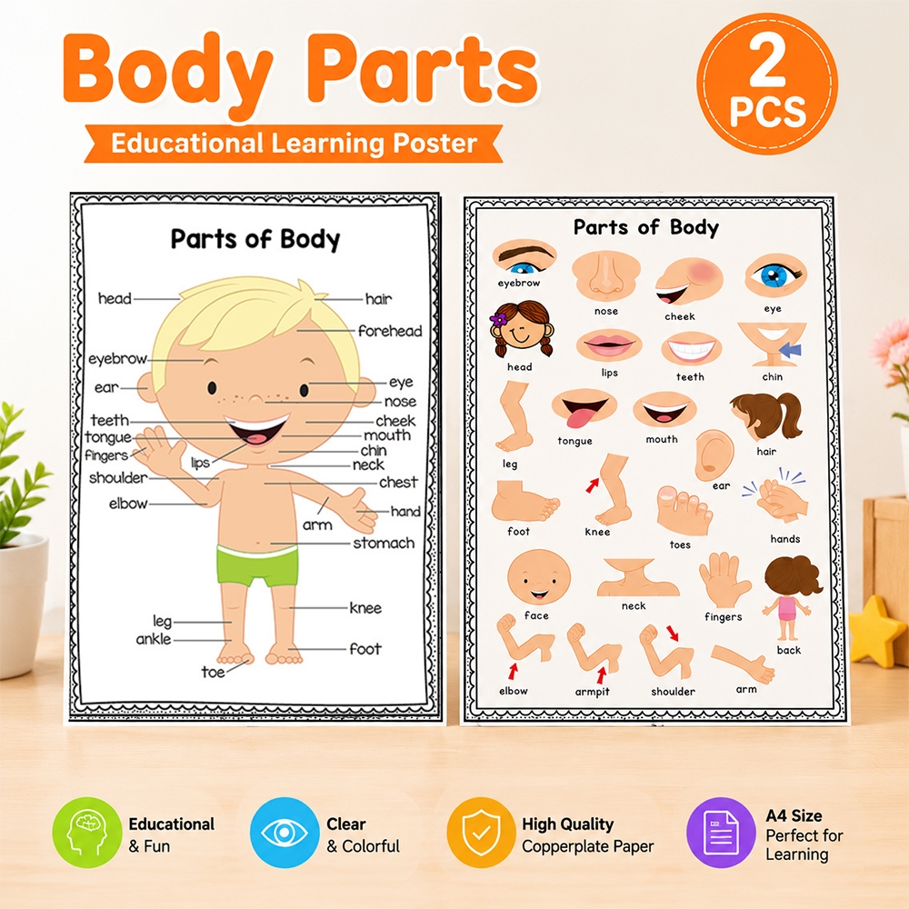 2 ชิ้น Body Parts โปสเตอร์การศึกษาสําหรับเด็ก | แผนภูมิชิ้นส่วนร่างกายการเรียนรู้ในช่วงต้นสําหรับเด็กวัยหัดเดิน | โรงเรียนบ้านก่อนวัยเรียนห้องเรียนตกแต่งผนังแผนภูมิการเรียนรู้