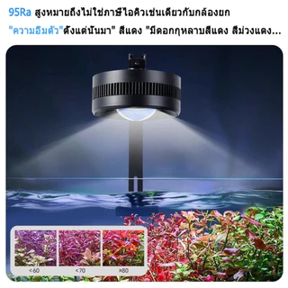 【จัดส่ง 24 ชั่วโมง】YEE LED Full spectrum fish tank downlight มีขาแขวน 35/55 W hogh power ทรงกลม ครบ สเปกตรัม แสงขาว ไฟ Hillstream ไม้น้ำ
