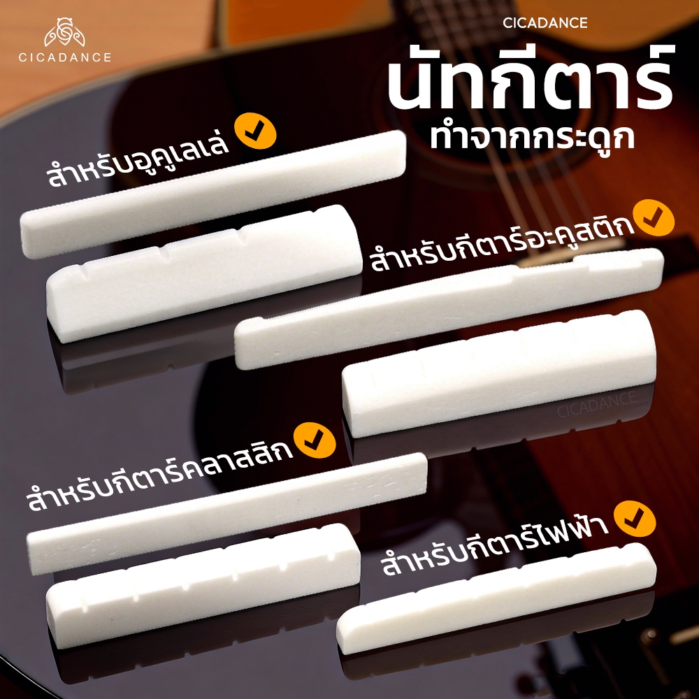 Nut Saddle นัทและแซดเดิล กระดูกวัว สำหรับกีตาร์โปร่ง/กีตาร์ไฟฟ้า/กีตาร์คลาสสิก นัท&แซดเดิล