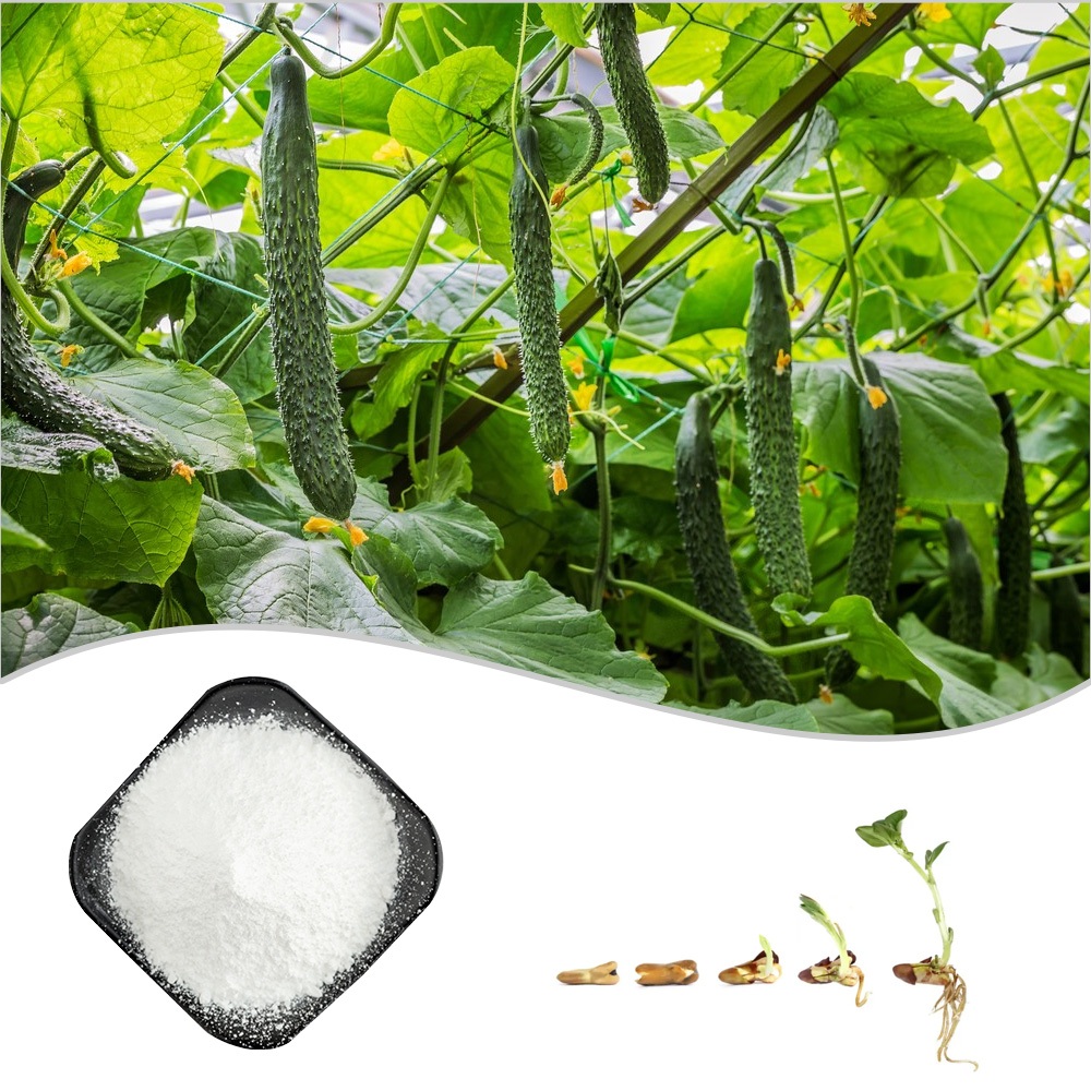 28 Epibrassinolide 95% BR Plant Growth Regulator ปริมาณมากที่ต้องการ Brassin Brassinolide CAS:72962-43-7