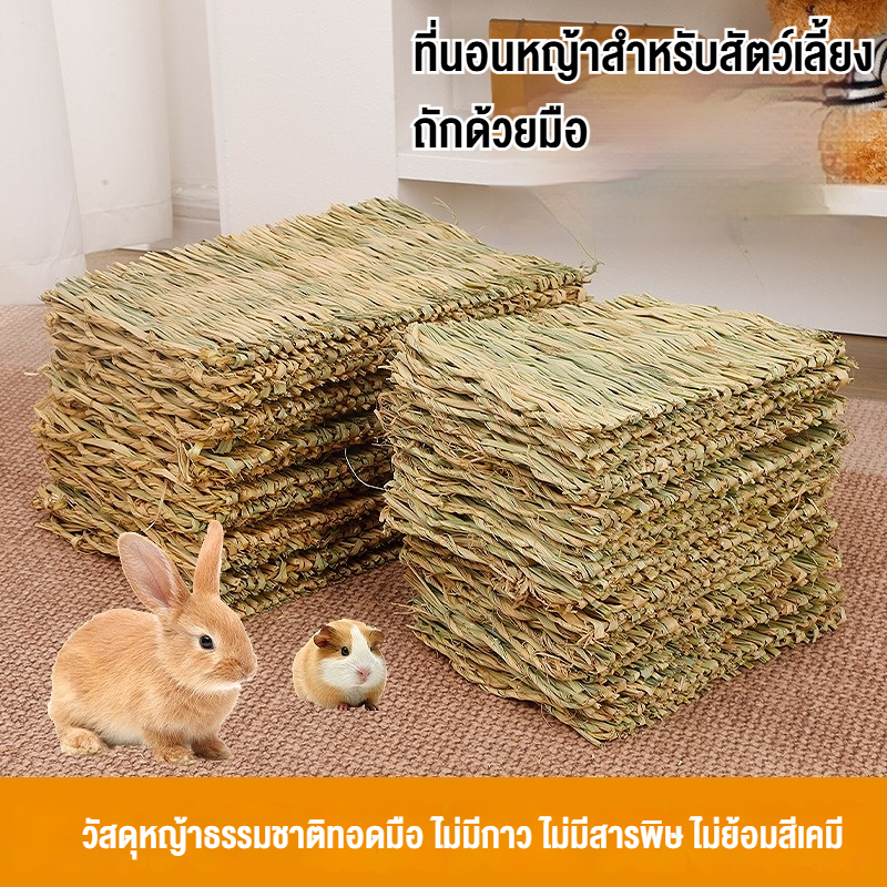 เสื่อหญ้าสัตว์เลี้ยงทอมือผ้าปูที่นอนฟางธรรมชาติสําหรับกระต่ายหนูตะเภาหนูแฮมสเตอร์และหมูดัตช์ แผ่นรองฝ่าเท้าและเสื่อรังสําหรับสัตว์เลี้ยงขนาดเล็กระบายอากาศอบอุ่นทุกวันอุปกรณ์สัตว์เลี้ยง