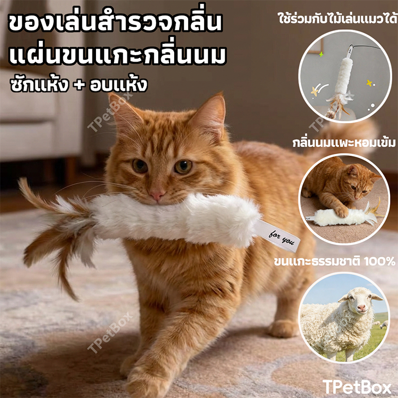พร้อมส่ง! ไม้ตกแมวรูปกุ้งเทมปุระ ขนแกะธรรมชาติแท้ พร้อมขนนก แมวเล่นเองได้ เสริมพัฒนาการ แก้เบื่อ ลดพฤติกรรมทำลายข้าวของ