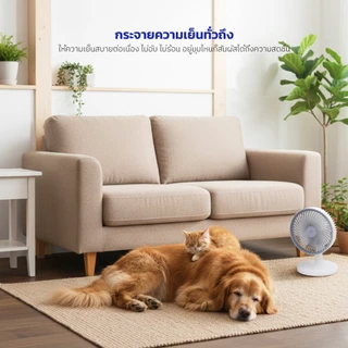 KASHIWA รุ่น TF-8 พัดลมตั้งโต๊ะสีขาว ปรับความเร็วลมได้ 3 ระดับ กำลังไฟ 25 วัตต์ ขนาดกะทัดรัด เหมาะสำหรับวางบนโต๊ะ รับประกัน 1 ปี