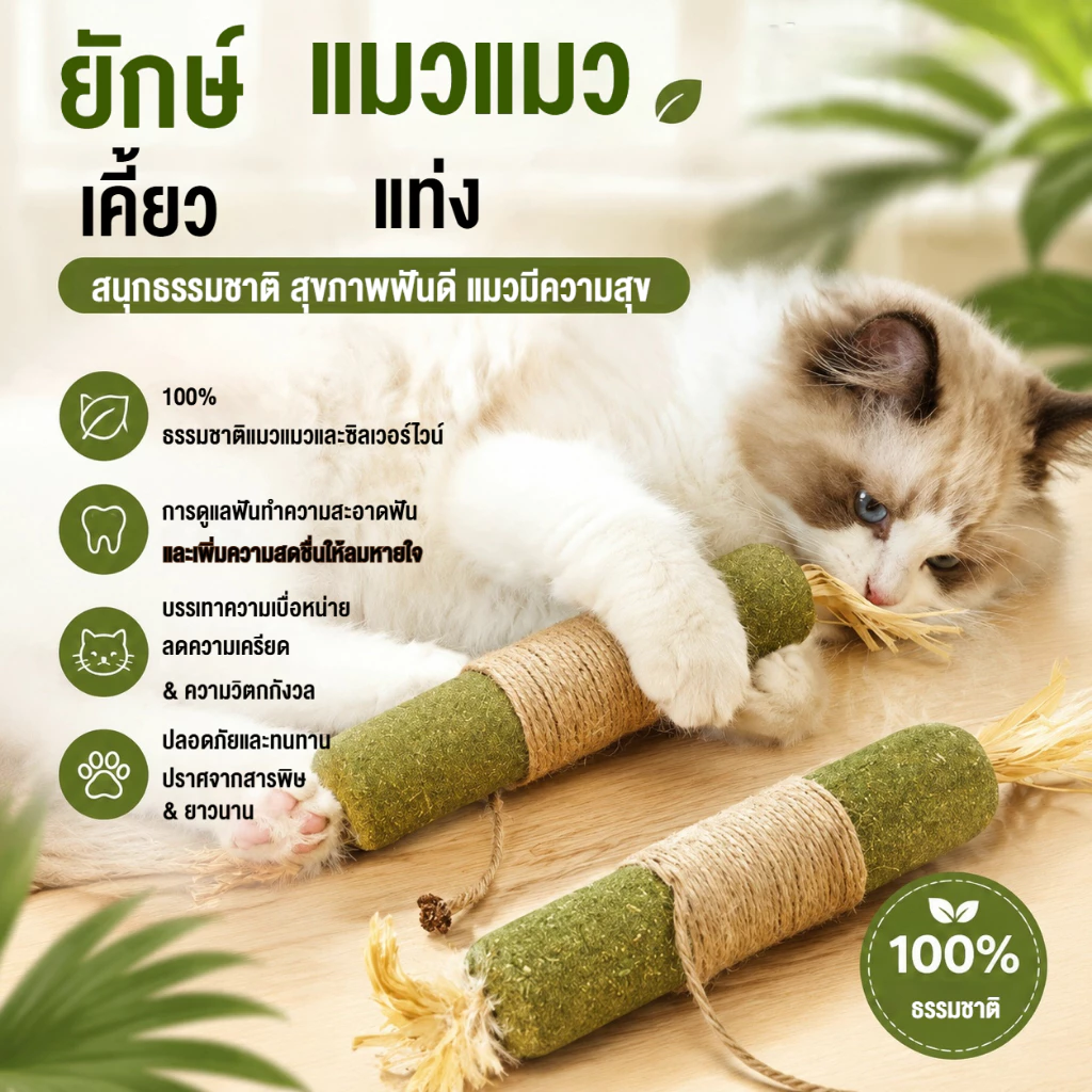 หญ้าแมว ยักษ์ & แท่งเงิน ของเล่นเคี้ยวฟัน ทำความสะอาดฟัน ลดกลิ่นปาก คลายเหงา สนุกได้เอง