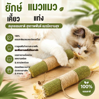 หญ้าแมว ยักษ์ & แท่งเงิน ของเล่นเคี้ยวฟัน ทำความสะอาดฟัน ลดกลิ่นปาก คลายเหงา สนุกได้เอง