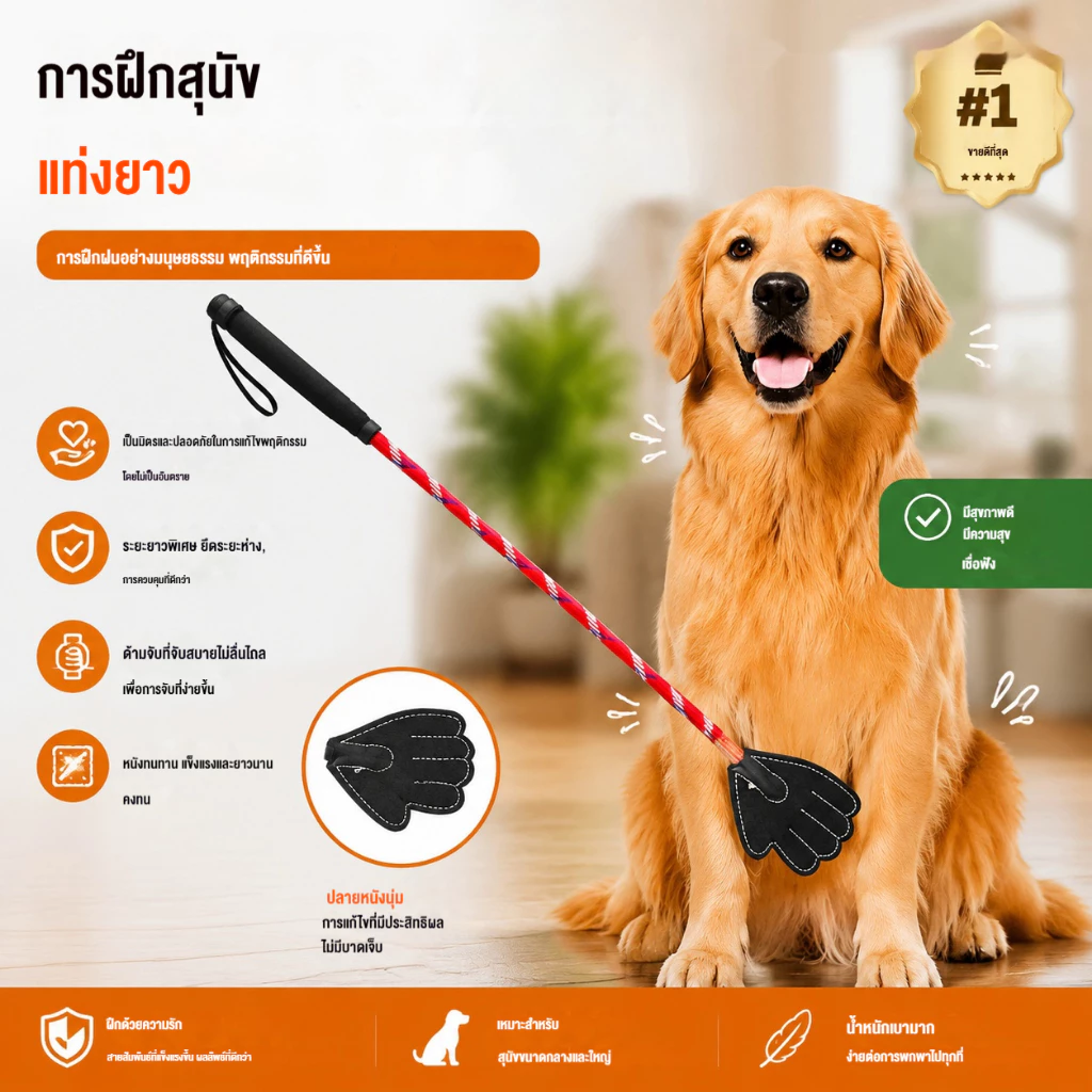 พายฝึกสุนัขด้ามยาว, แท่งแก้ไข Behavioral