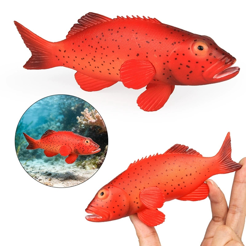 จําลองเสือดาว Coral Grouper Red Grouper จําลองเด็กวิทยาศาสตร์การศึกษาของเล่นความรู้ความเข้าใจ marine