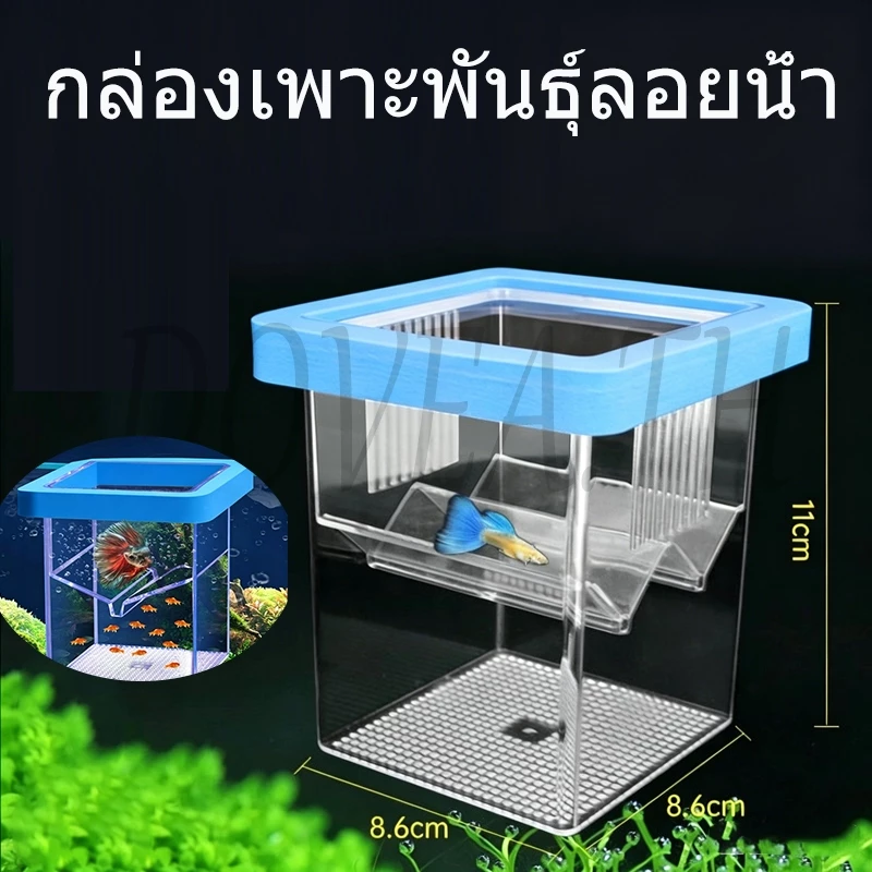 ตู้ฟักไข่ทอดปลา แบบลอย, เครื่องป้อนเพาะพันธุ์ตู้ปลา, ตู้ฟักโปร่งใส, ฟักปลา, ทอดแบบแขวน