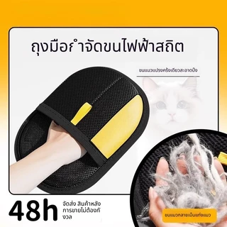 น้ํายาล้างขนสัตว์เลี้ยง, น้ํายาทําความสะอาดขนแมว, แปรงสองด้าน, แปรงกรูมมิ่งสุนัข, ถุงมือกําจัดขนสัตว์เลี้ยง