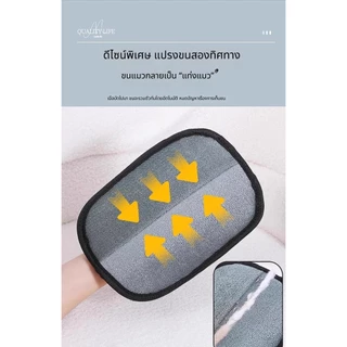 น้ํายาล้างขนสัตว์เลี้ยง, น้ํายาทําความสะอาดขนแมว, แปรงสองด้าน, แปรงกรูมมิ่งสุนัข, ถุงมือกําจัดขนสัตว์เลี้ยง