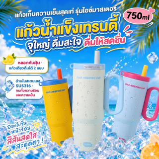 แก้วเก็บความเย็น 750ml สแตนเลส 316 เก็บร้อนเย็นได้นาน พร้อมหลอดกันฝุ่น เหมาะสำหรับออฟฟิศและใช้งานประจำวัน