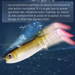 Meredith Cannibal 80/100/125mm Fishing Lure – บันทึกสําหรับจับสูงสุด 350 ปอนด์ 3D eyes soft Lure